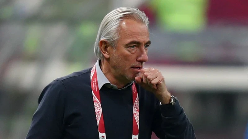 Van Marwijk: 'Een van de mooiste voorbeelden is Dick Advocaat'