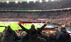 Feyenoord deelt 'road to the final'