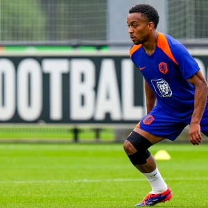 'Ik ben wel gecharmeerd van Timber'
